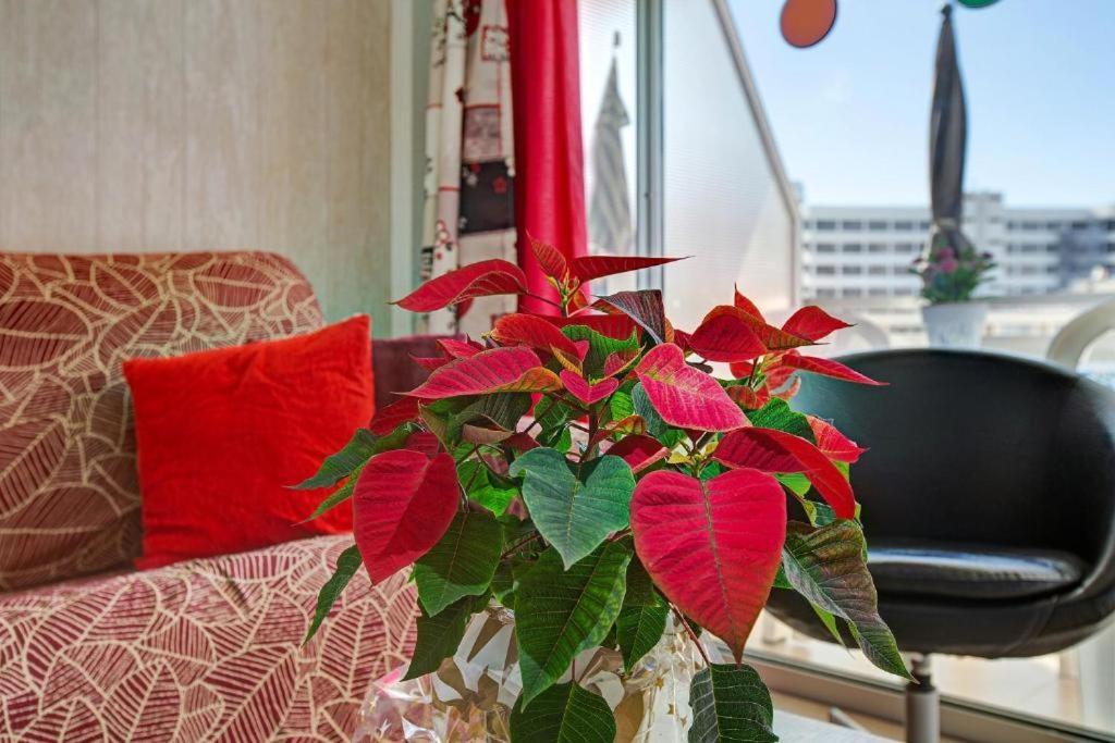 Los Elefantes Beach House San Bartolomé Εξωτερικό φωτογραφία